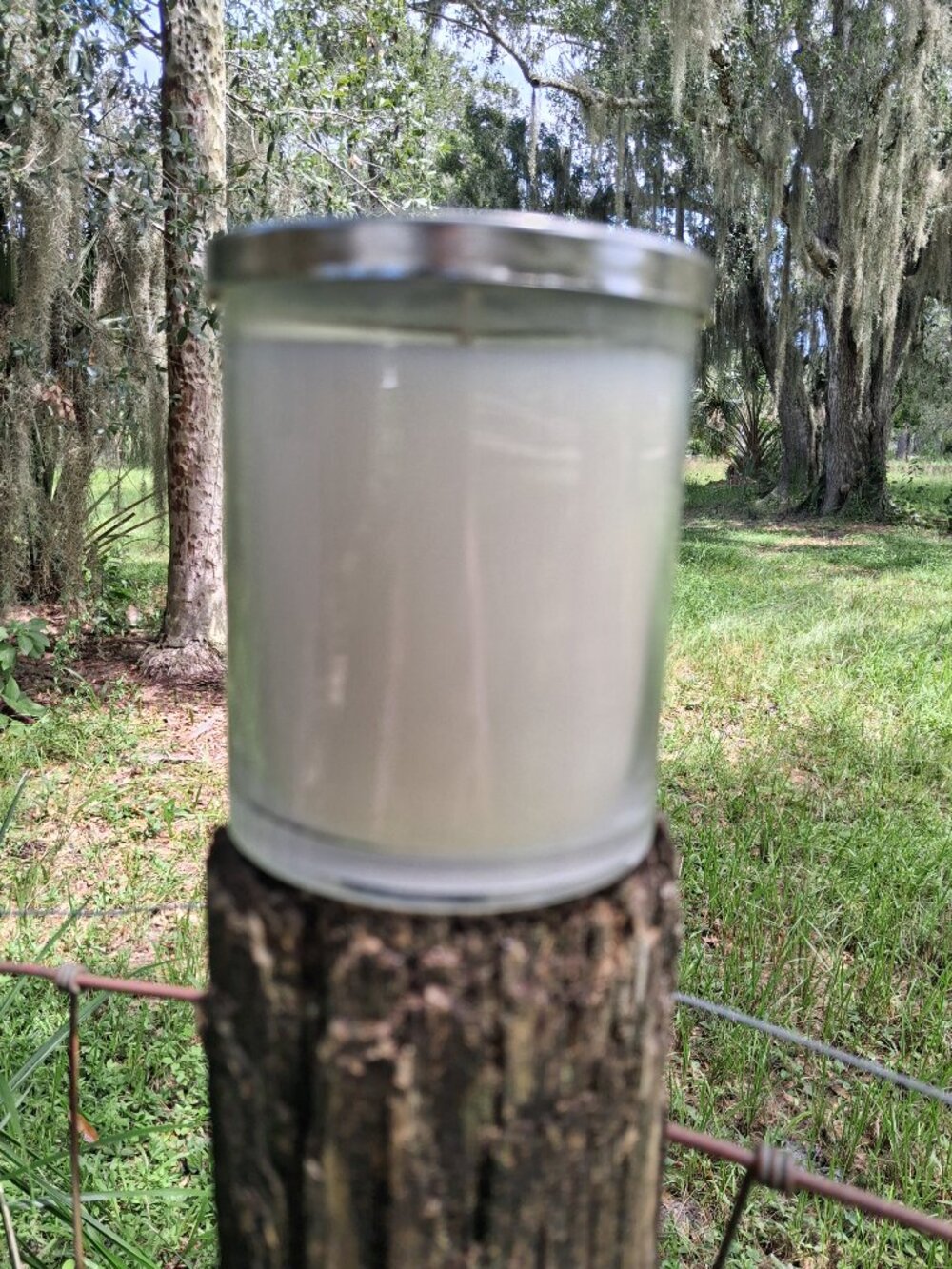 White Barn Mahogany Teakwood jar candle - Picture 2 of 5